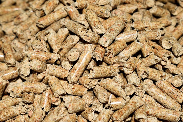 holzpellets kaufen